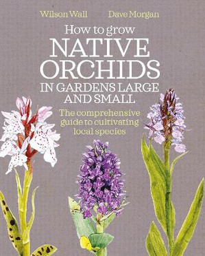 How to Grow Native Orchids in Gardens Large and Small