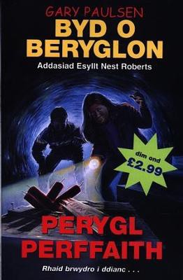 Byd o Beryglon: 8. Perygl Perffaith