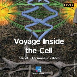 Voyage Inside the Cell