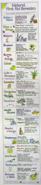 Natural First Aid Remedies Chart