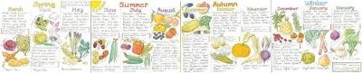 Seasonal Fruit and Vegetables Wallchart