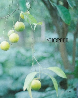 The Hopper