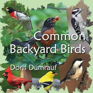 Common Backyard Birds