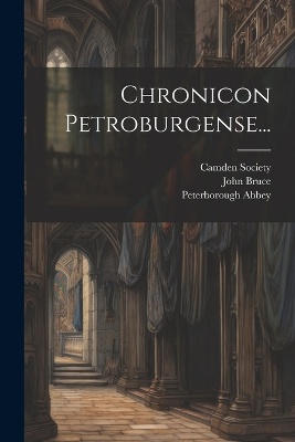 Chronicon Petroburgense...