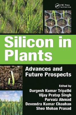Silicon in Plants