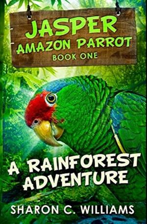 A Rainforest Adventure