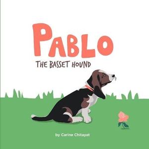 Pablo the Basset Hound