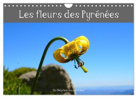 Les fleurs des Pyrénées (Calendrier mural 2024 DIN A4 vertical), CALVENDO calendrier mensuel