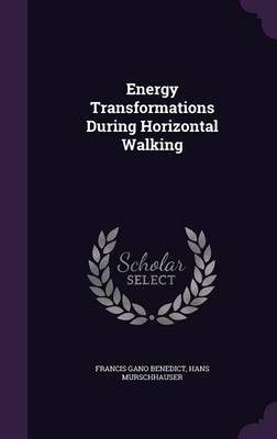 ENERGY TRANSFORMATIONS DURING