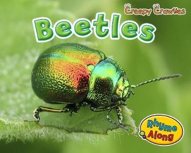 Rissman, R: Beetles