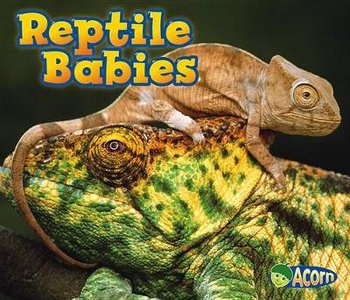 Reptile Babies (Animal Babies)