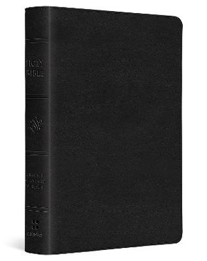 ESV Large Print Compact Bible 
