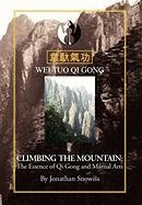 Climbing The Mountain