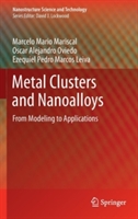 Metal Clusters and Nanoalloys