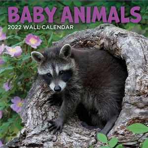 Baby Animals - Babydieren Kalender 2022