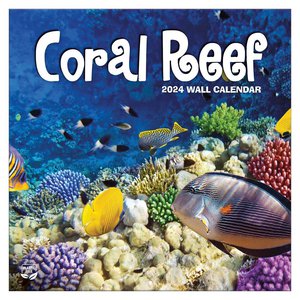 Coral Reef kalender 2024