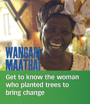 Crayton, L: Wangari Maathai
