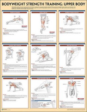 Bodyweight Strength Training Poster