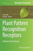 Plant Pattern Recognition Receptors