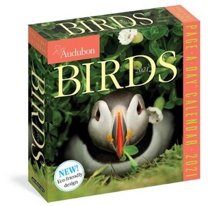 2021 AUDUBON BIRDS COLOR PAGE-