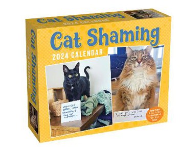 Cat Shaming Day-to-day Boxed Kalender 2024