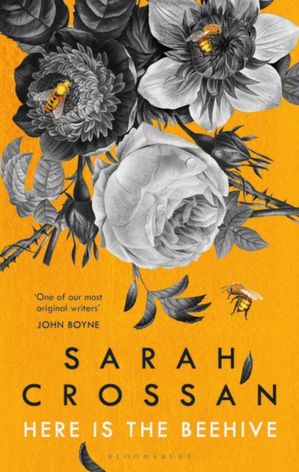 Sarah Crossan, C: Here is the Beehive