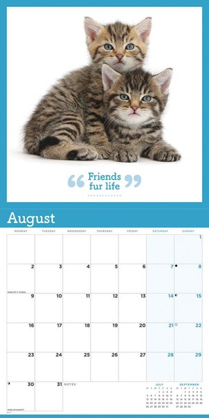 Cute Cats Square Wall Calendar 2021