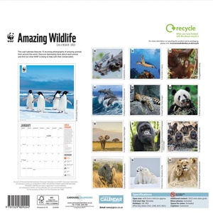 WWF - WNF Amazing Wildlife Kalender 2021