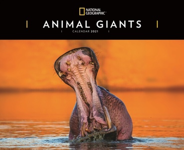 Animal Giants National Geographic Deluxe Kalender 2021