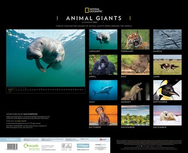 Animal Giants National Geographic Deluxe Kalender 2021