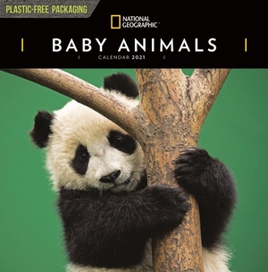 Baby Animals National Geographic Square Wall Calendar 2021