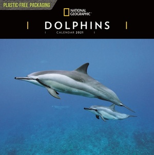 Dolphins National Geographic Square Wall Calendar 2021
