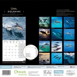 Dolphins National Geographic Square Wall Calendar 2021