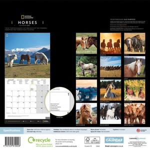 Horses National Geographic Kalender 2021