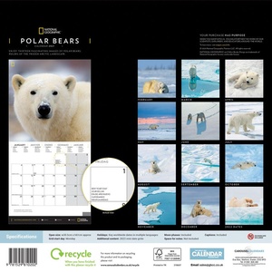 Polar Bears National Geographic Kalender 2021