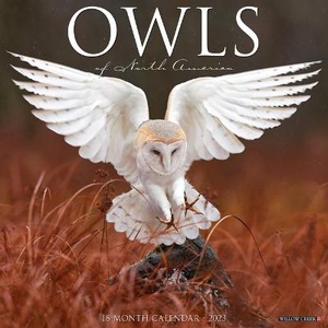 OWLS 2023 WALL CAL