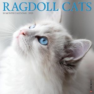 Ragdoll Cats 2023 Wall Calendar
