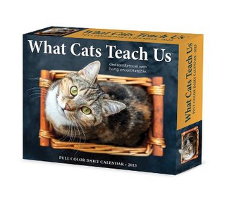 What Cats Teach Us 2023 Box Calendar
