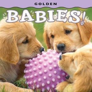 Golden Babies!