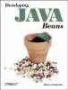 Developing Java Beans