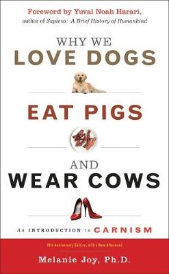 Why We Love Dogs, Eat Pigs And Wear Cows