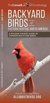 Backyard Birds of Eastern/Central North America