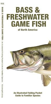 Bass & Freshwater Game Fish of North America: An Illustrated Folding Pocket Guide to Familiar Species