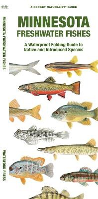 Minnesota Freshwater Fishes: A Waterproof Folding Guide to Native and Introduced Species