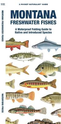 Montana Freshwater Fishes: A Waterproof Folding Guide to Native and Introduced Species