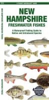 New Hampshire Freshwater Fishes