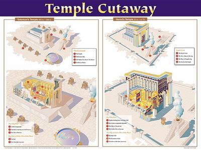 Temple Cutaway Wall Chart