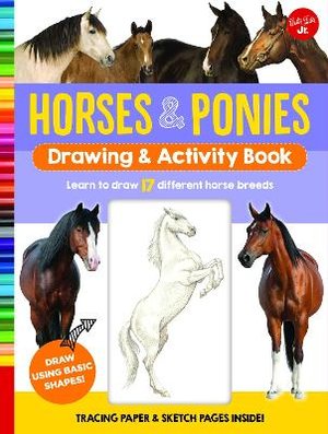 HORSES & PONIES DRAWING & ACTI