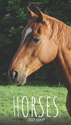 Horses 2021 Diary