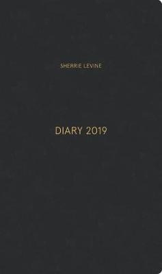 SHERRIE LEVINE DIARY 2019 LTD/